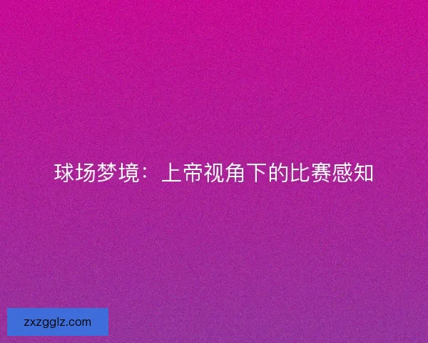 球场梦境：上帝视角下的比赛感知