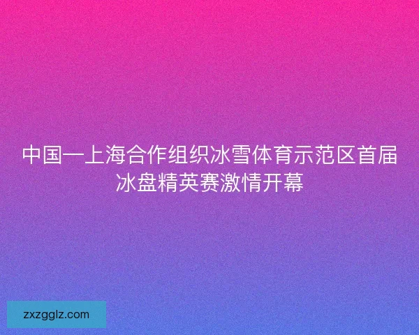 中国—上海合作组织冰雪体育示范区首届冰盘精英赛激情开幕